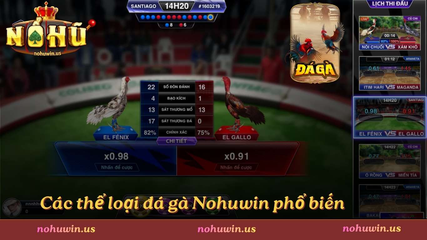 Các thể loại đá gà Nohuwin phổ biến