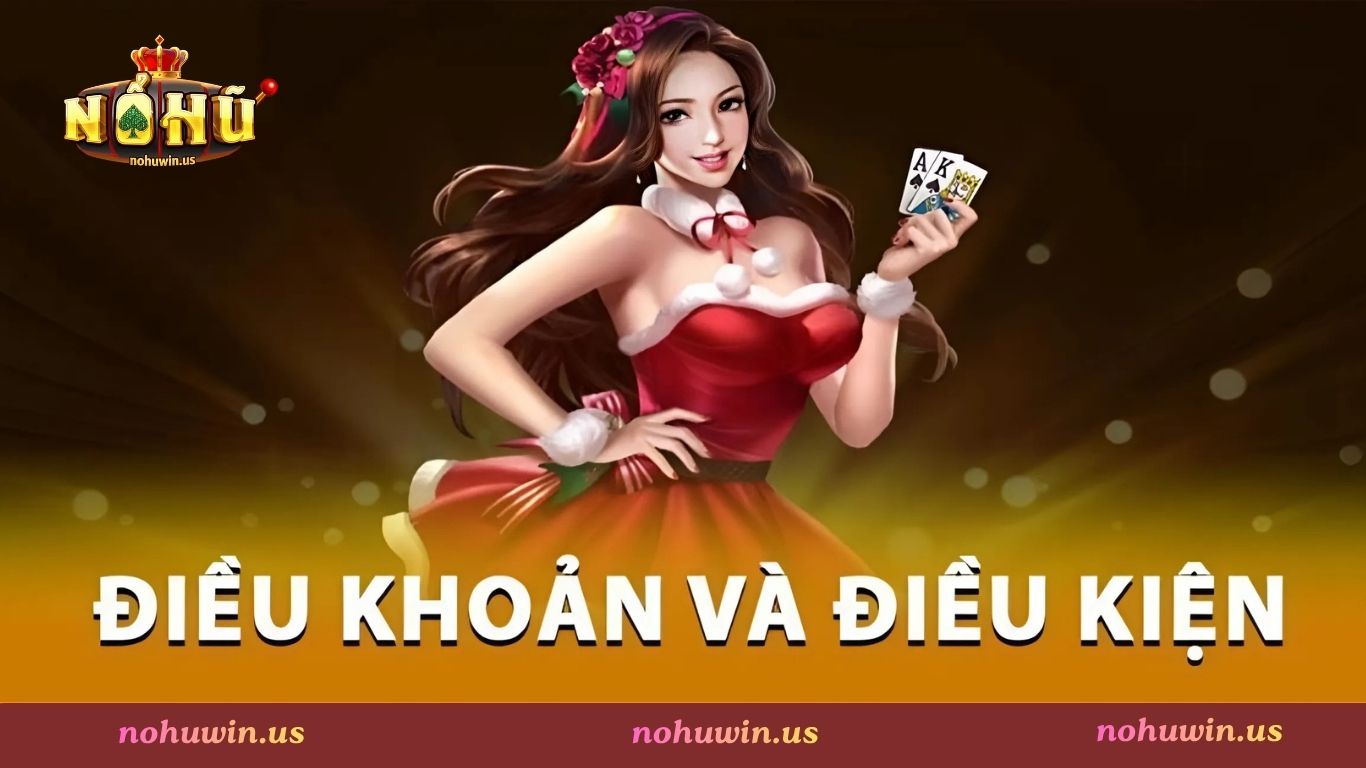 Điều khoản và điều kiện khi sử dụng dịch vụ trên Nohuwin