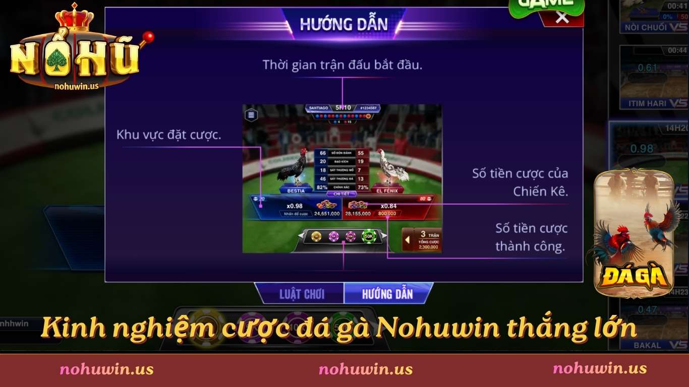 Kinh nghiệm cược đá gà Nohuwin thắng lớn