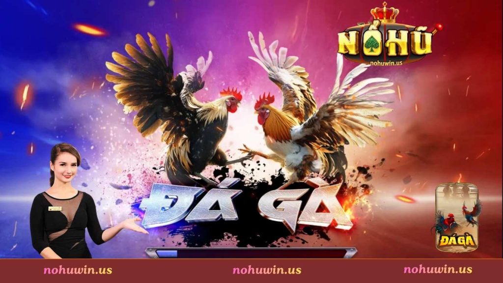 Tổng quan sảnh cược đá gà Nohuwin